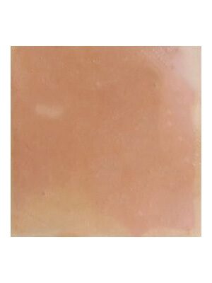 Saltillo Classic Tiles Unsealed