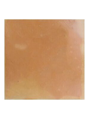 Saltillo Classic Tiles Sealed