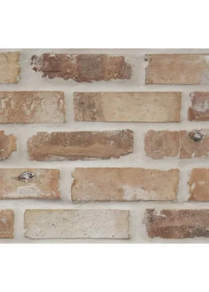 Salvaged Brick