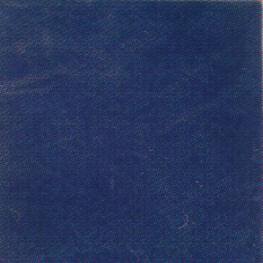 Saltillo Talavera Tiles