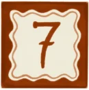 Saltillo Talavera Tiles - Terra. House #7